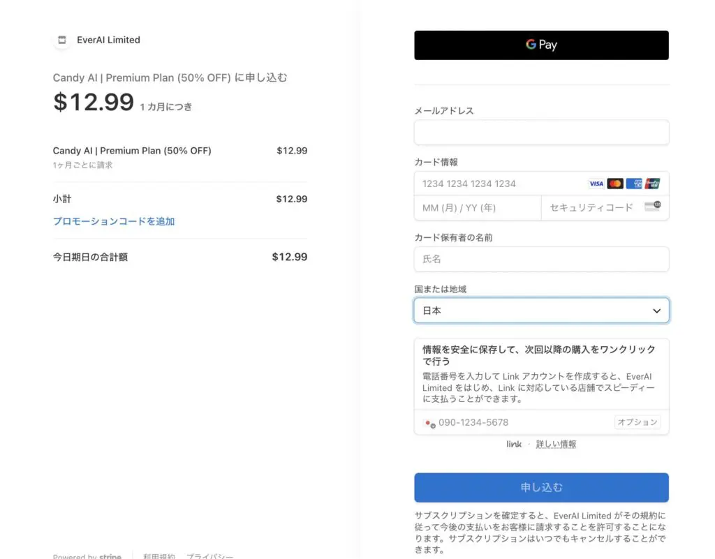 2. 输入支付信息详情